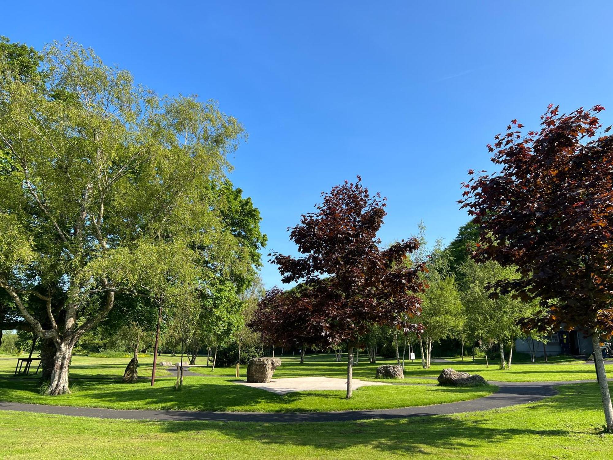 'Maigue View' By The River Croom Exterior foto